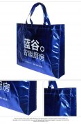 無紡布腹膜袋執(zhí)行國家什么標(biāo)準(zhǔn)？