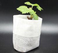 <b>無紡布種植袋釘子多少錢一個？它的優缺點是什</b>